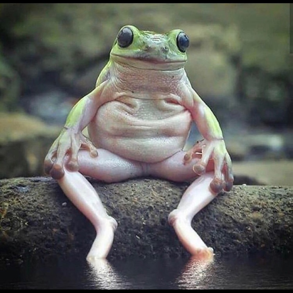 Just some of my favorite screenshots for fun!!!